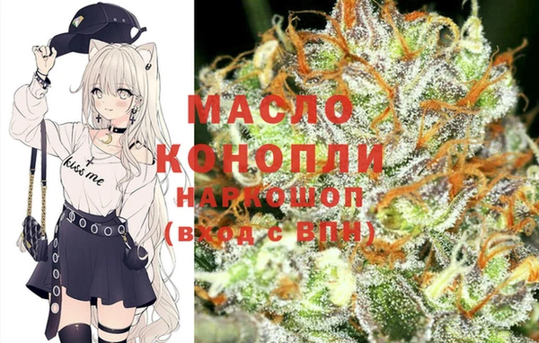 гашик Краснослободск
