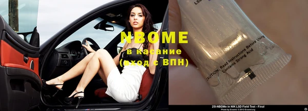 гашик Краснослободск