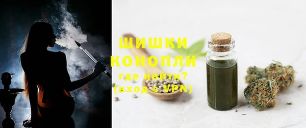 гашик Краснослободск