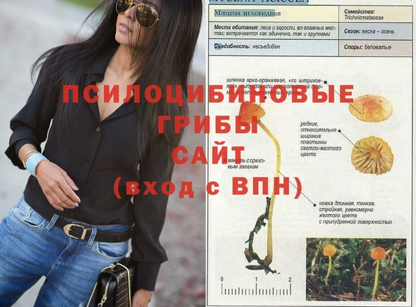 гашик Краснотурьинск