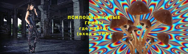 кокс Корсаков