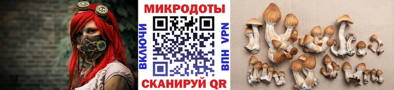 Псилоцибиновые грибы GOLDEN TEACHER  продажа наркотиков  Красный Сулин 